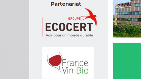 Logo Eco Fvb Png
